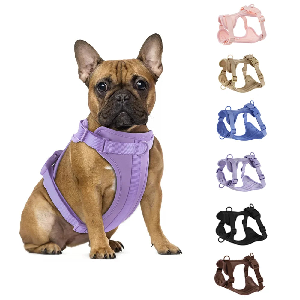 Harnais et Laisse Double en PVC pour Chien - Confortable, Respirant