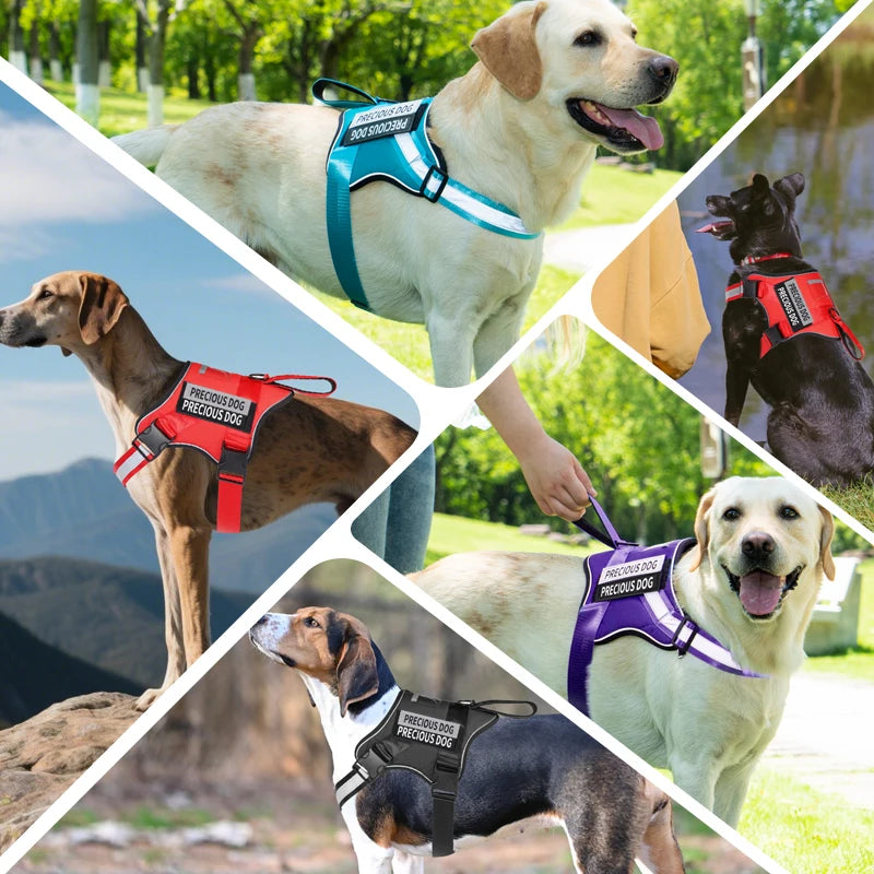 Harnais Réfléchissant Réglable pour Chien - Sans Traction
