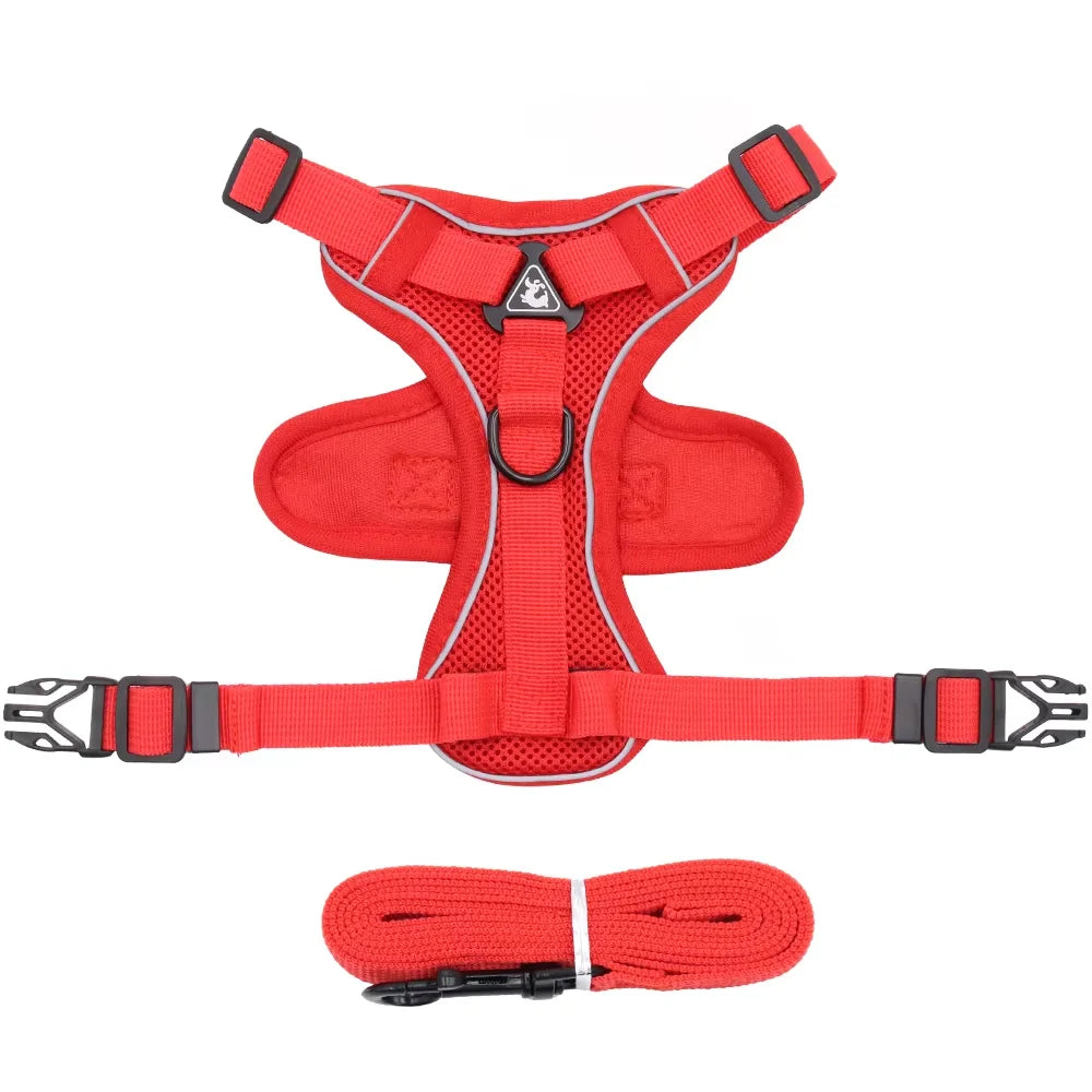 Ensemble Harnais et Laisse Anti-Traction pour Petit Chien et Chat - Réfléchissant