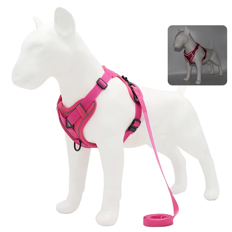 Ensemble Laisse Réglable pour Petit Chien et Chat - Bouledogue