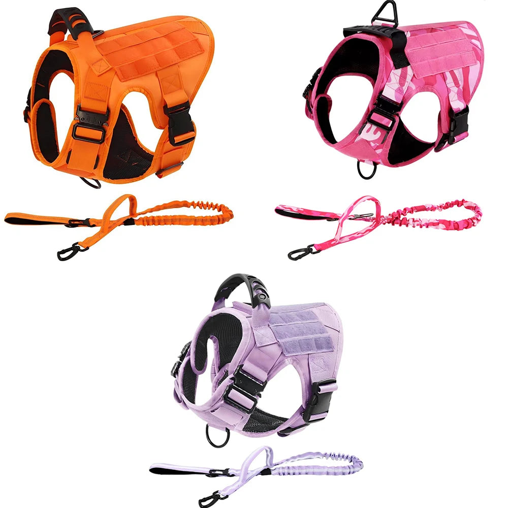 Ensemble Harnais et Laisse Tactique Militaire pour Chien - Anti-Traction