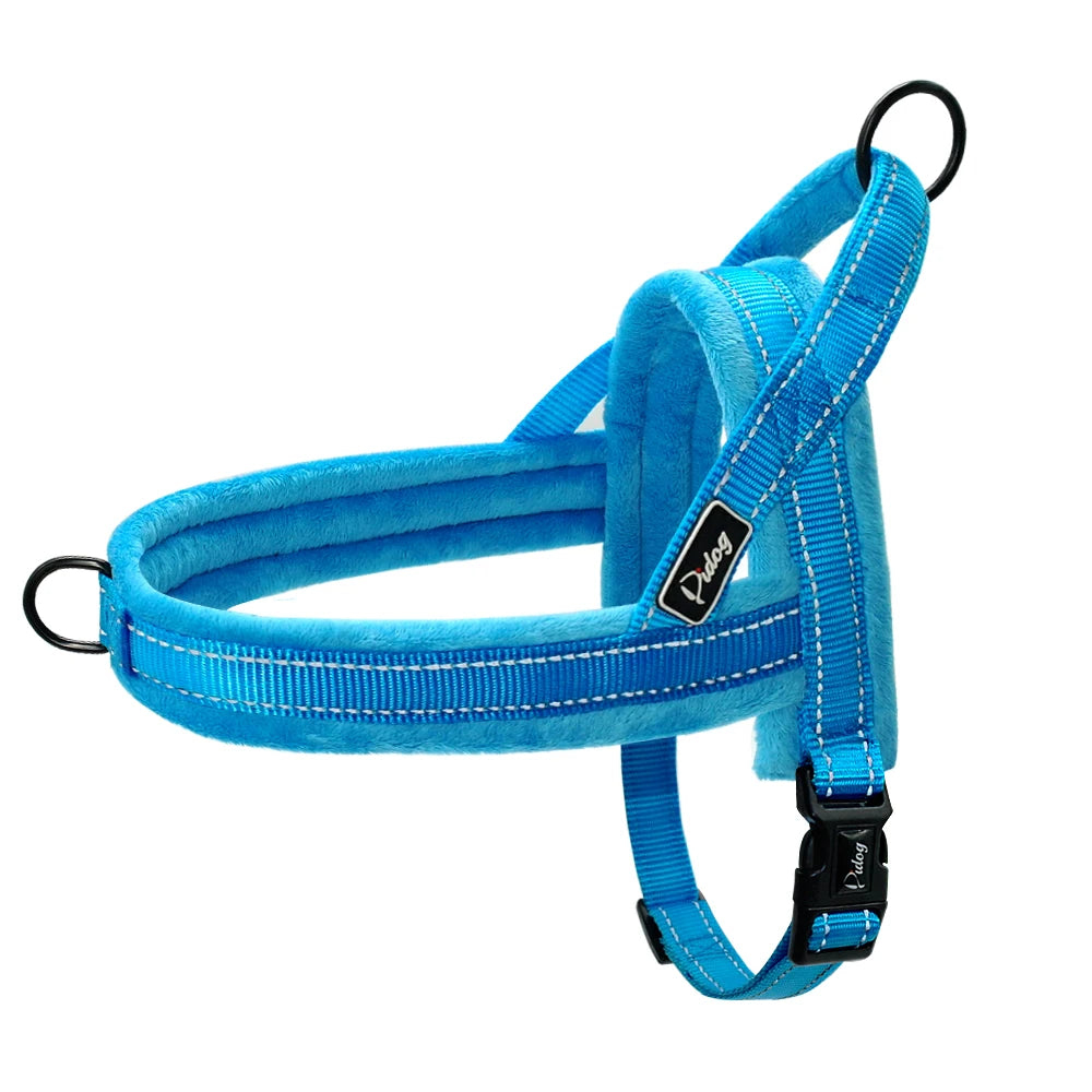 Sangle Nylon Rembourrée pour Chien - Idéal Pitbull et Bulldog