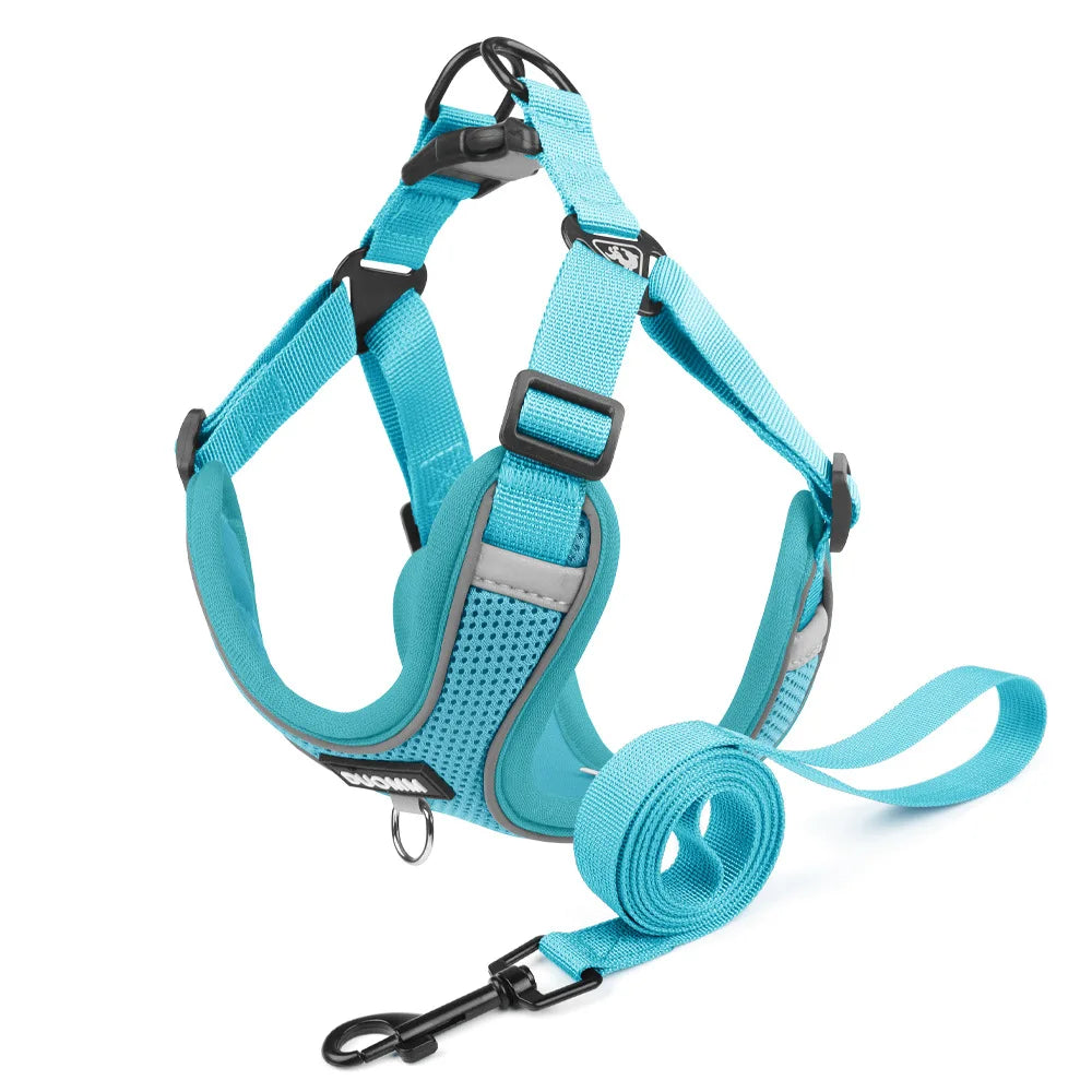 Ensemble Harnais et Laisse Classique et Doux pour Chien - Toutes Races