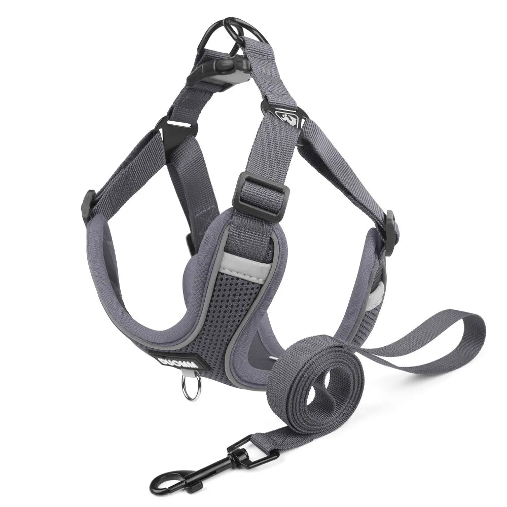 Ensemble Harnais et Laisse Classique et Doux pour Chien - Toutes Races