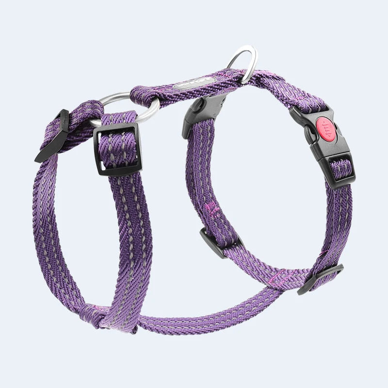 Harnais Anti-Évasion Type H pour Chien - Lavable, Réglable