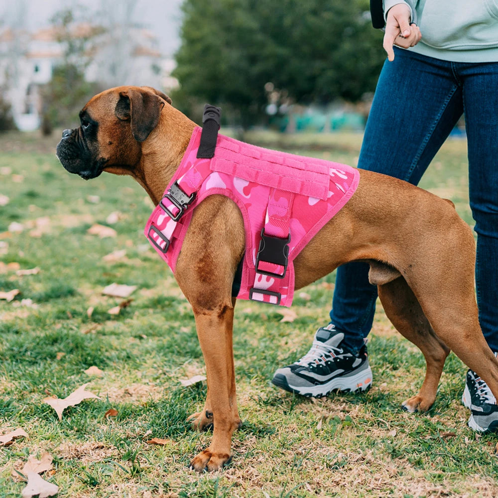 Ensemble Harnais et Laisse Tactique Militaire pour Chien - Anti-Traction