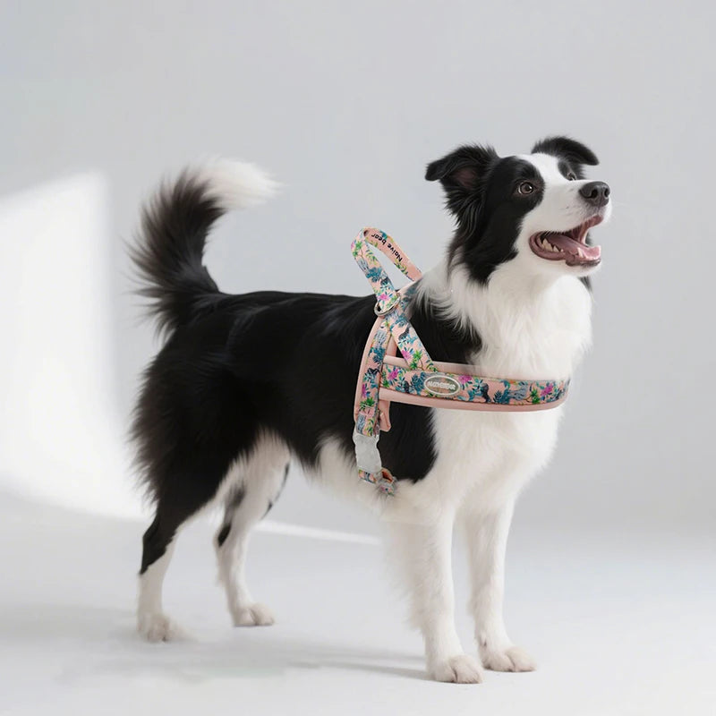 Harnais de Luxe Imprimé Rembourré pour Grand Chien - Anti-Évasion