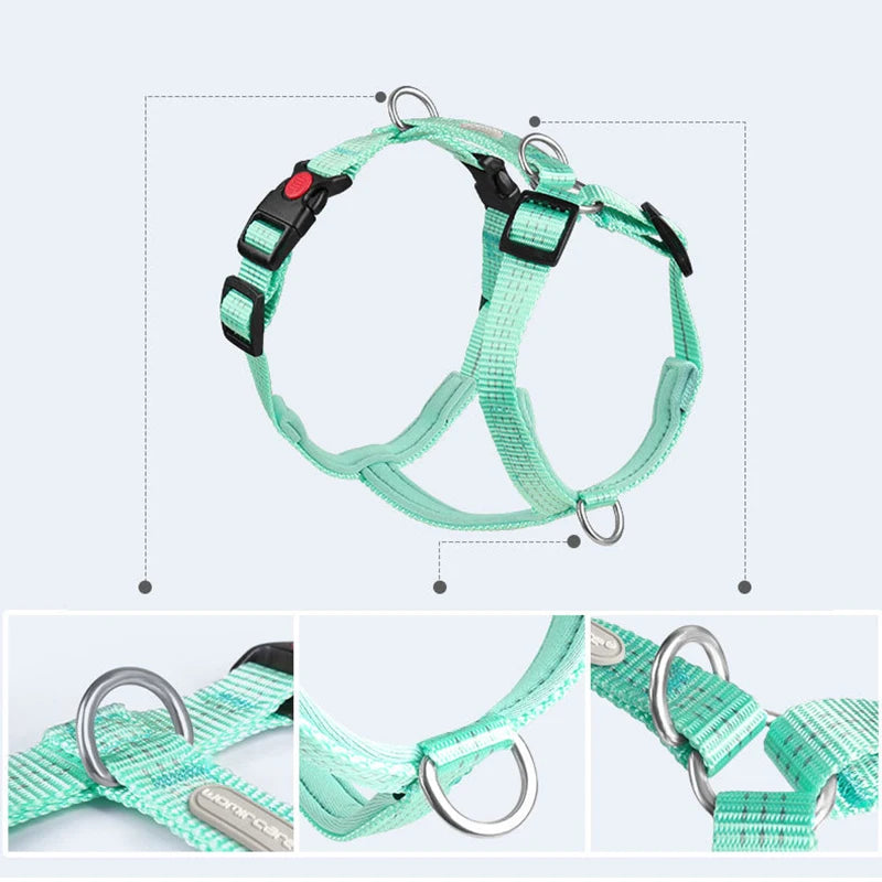 Harnais Type H en Nylon avec 2 Anneaux D - Léger, Anti-Traction