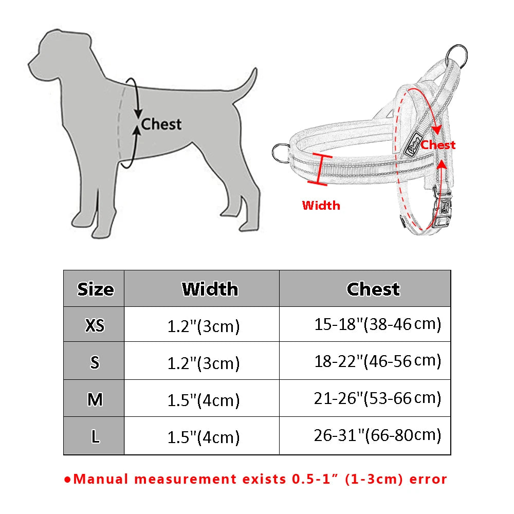 Sangle Nylon Rembourrée pour Chien - Idéal Pitbull et Bulldog