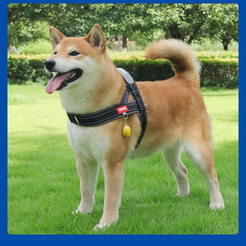 Harnais à la Mode Style Selle pour Chien - Toutes Tailles