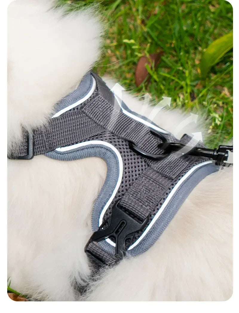 Ensemble Harnais et Laisse Sans Traction pour Petit Chien et Chat