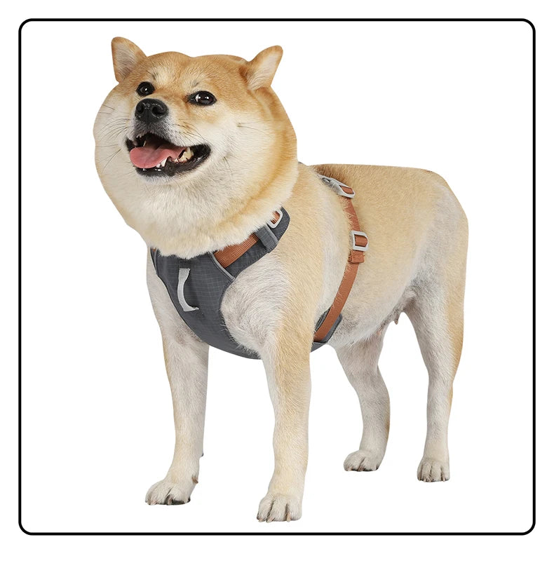 Harnais Anti-Évasion Léger Imperméable pour Chien Moyen - Réfléchissant