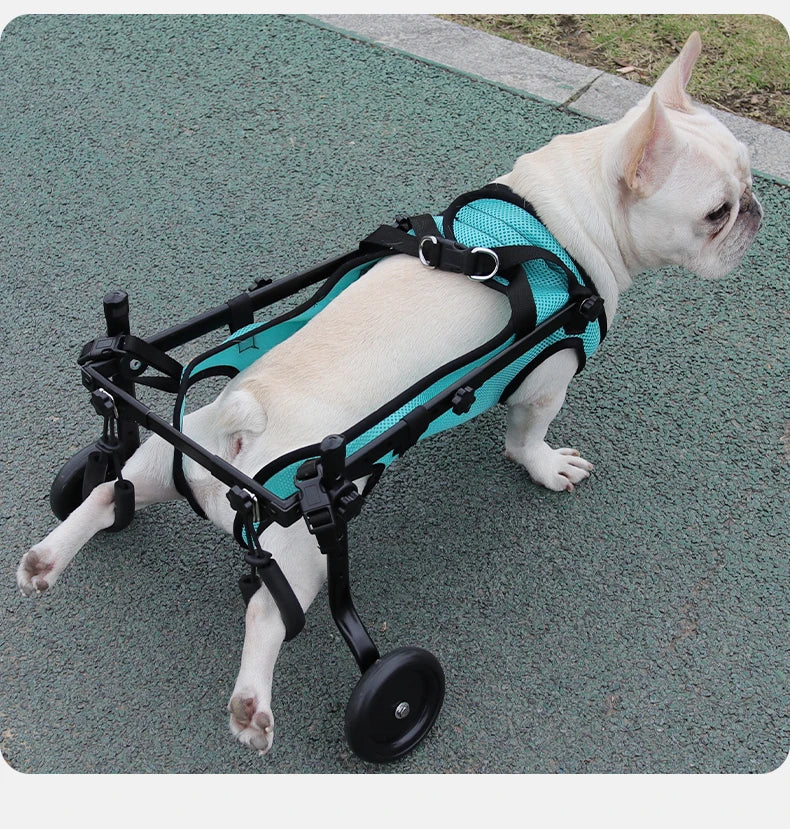 Harnais de Soutien Mobilité Réduite pour Chien - Rééducation