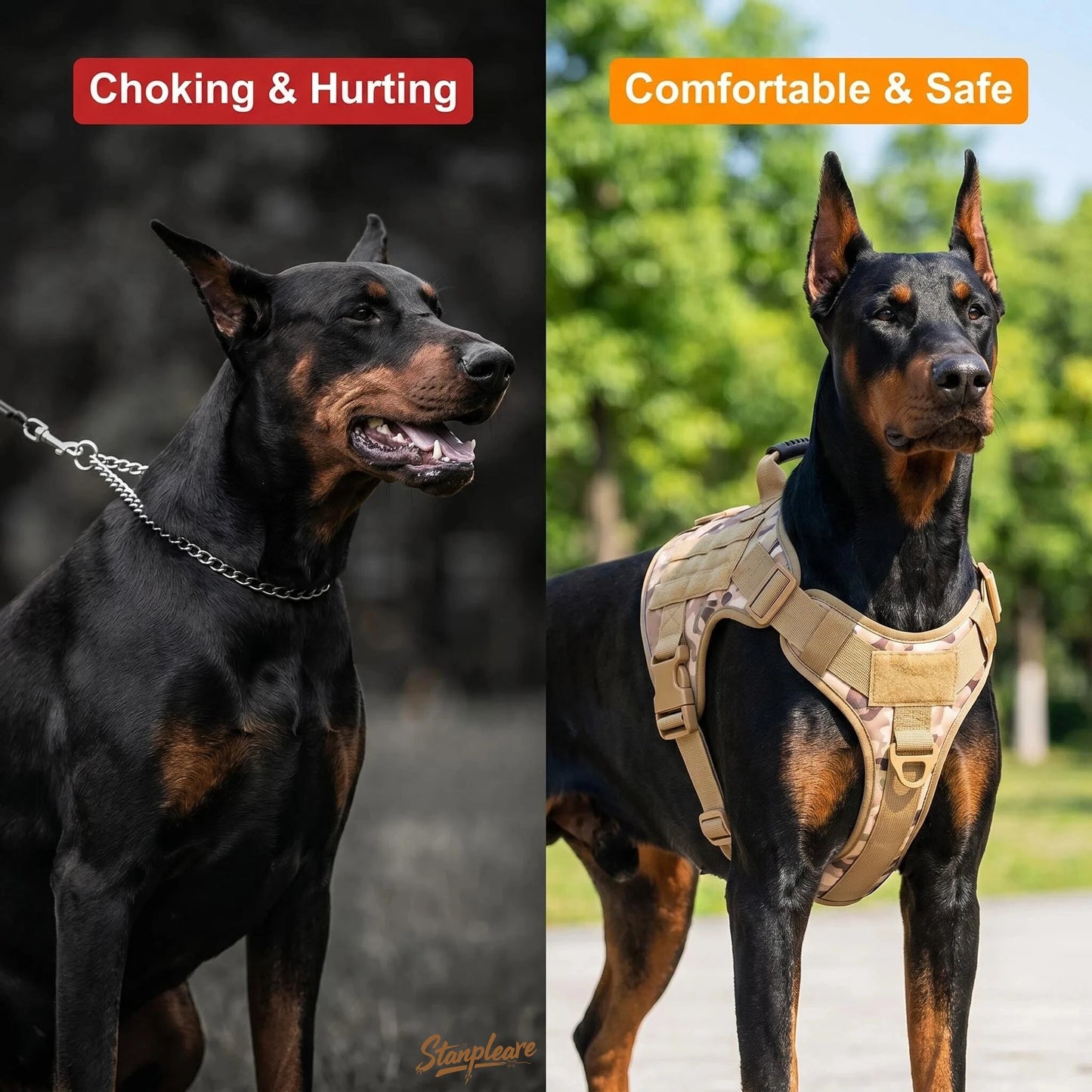 Harnais Tactique MOLLE en Nylon Robuste pour Grand Chien