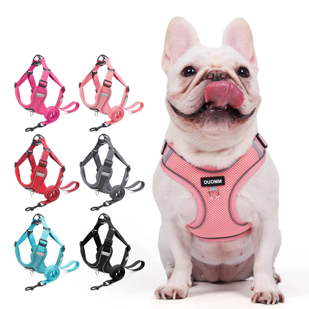 Ensemble Harnais et Laisse Classique et Doux pour Chien - Toutes Races