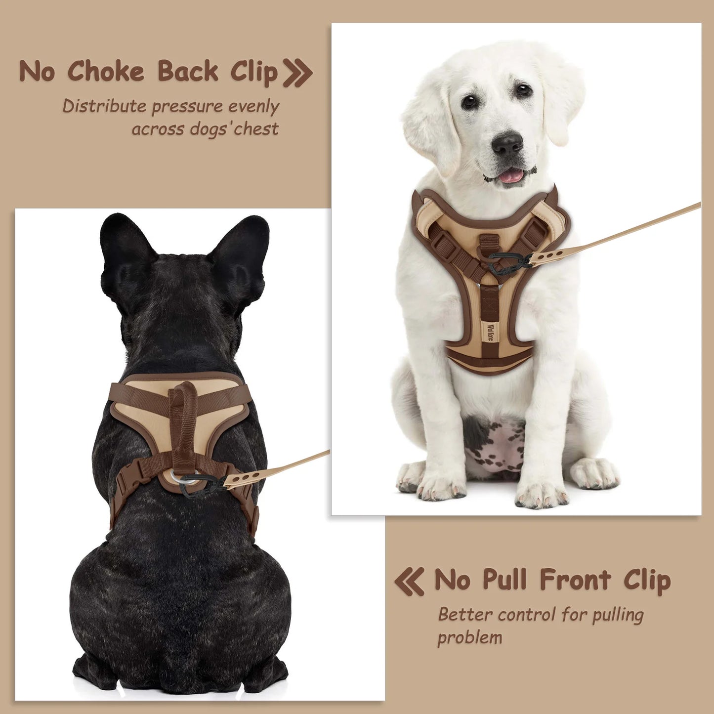 Harnais de Luxe Couleur Chocolat Anti-Traction pour Chien - Personnalisé