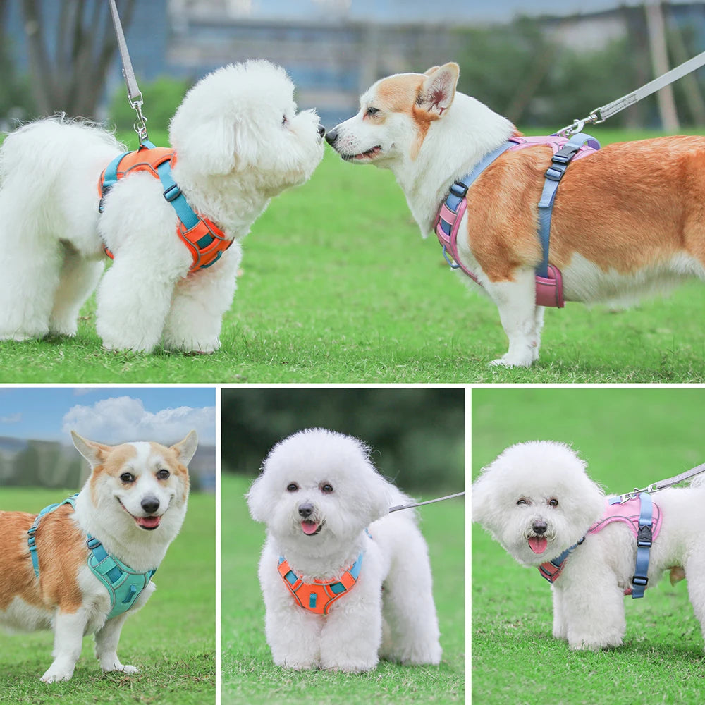 Harnais en Maille Respirante Réfléchissant pour Chien - Toutes Tailles