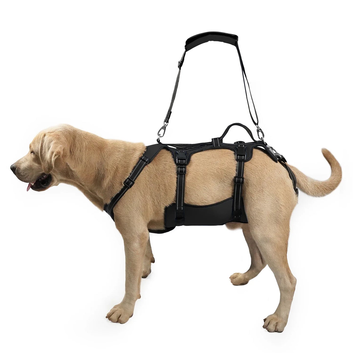 Harnais de Soutien Dorsal Réglable pour Chien - Post-Chirurgical