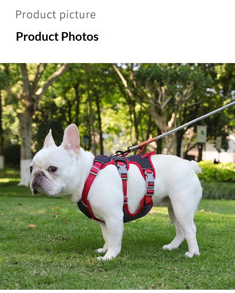 Harnais Anti-Évasion 3 Sections pour Grand Chien - Style Gilet