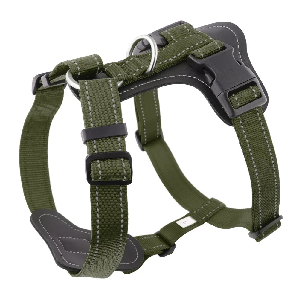 Harnais en Cuir pour Chien - Style Gilet, avec Collier et Laisse