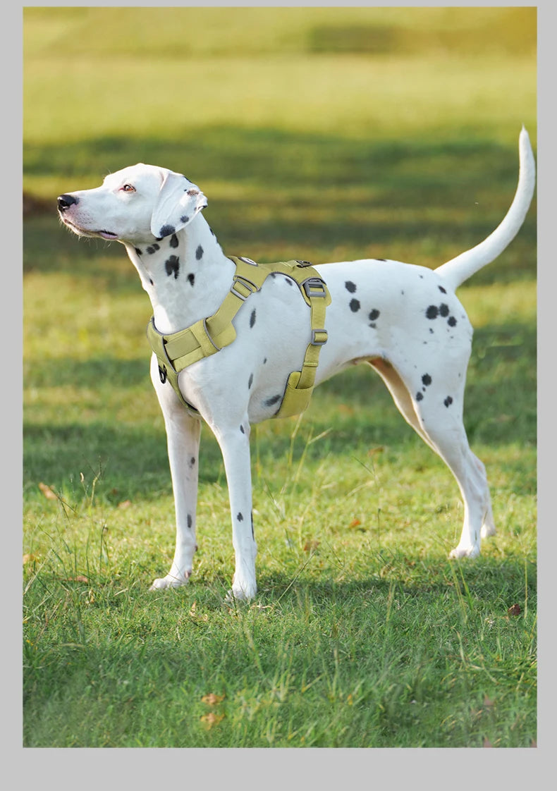 Harnais de Sécurité Anti-Traction pour Chien - Solide et Réglable