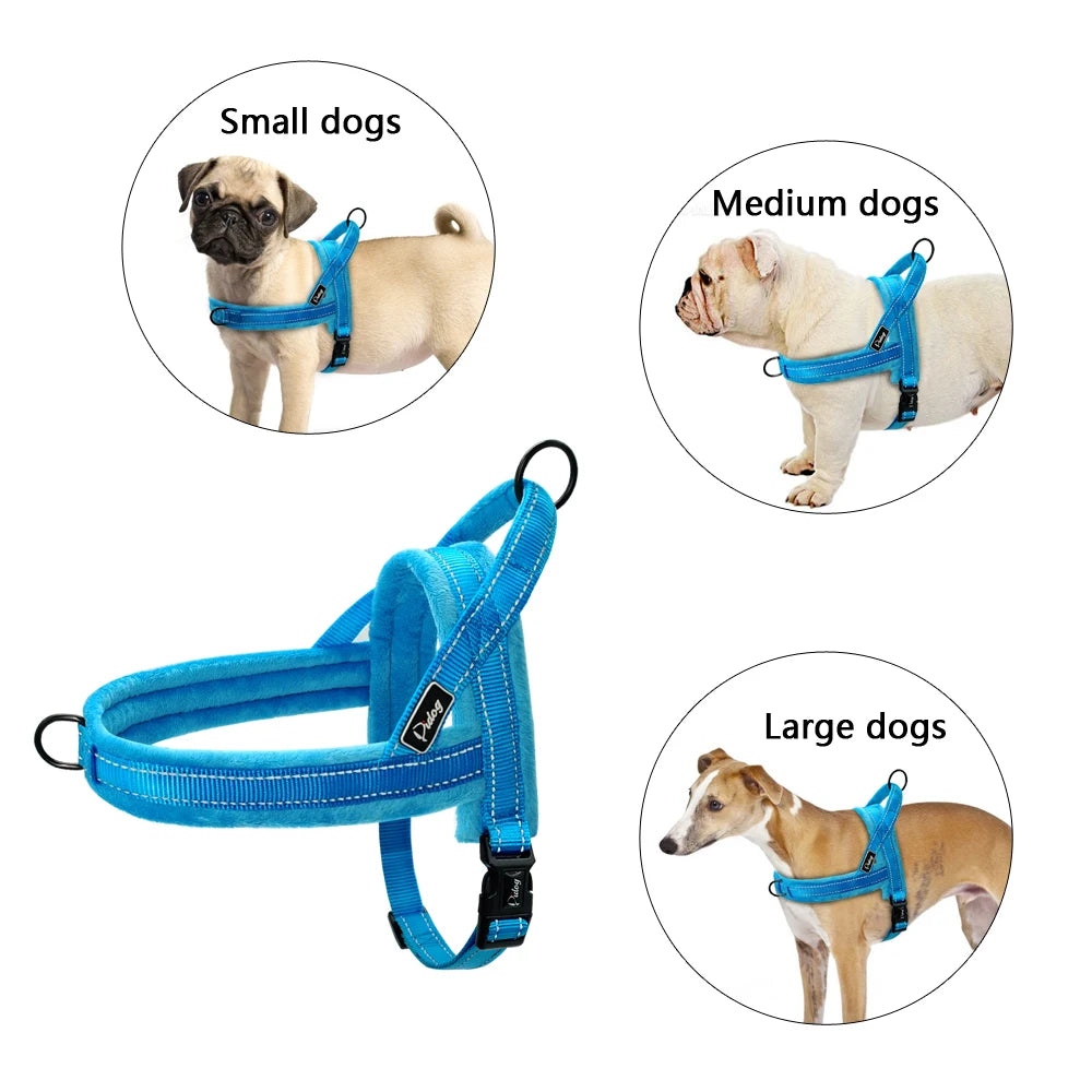 Sangle Nylon Rembourrée pour Chien - Idéal Pitbull et Bulldog