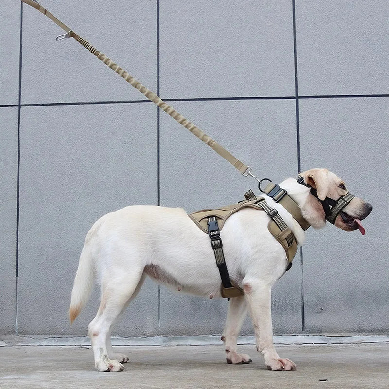 Harnais Tactique Anti-Déflagrant pour Grand Chien - avec Corde