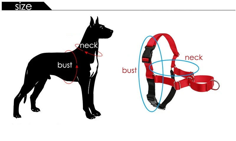 Harnais Anti-Rupture en Nylon Solide pour Chien Moyen/Grand - Husky