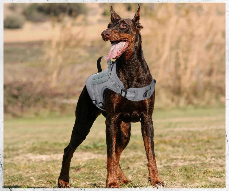 Harnais Tactique 3D Anti-Traction pour Chien Moyen/Grand - Réfléchissant