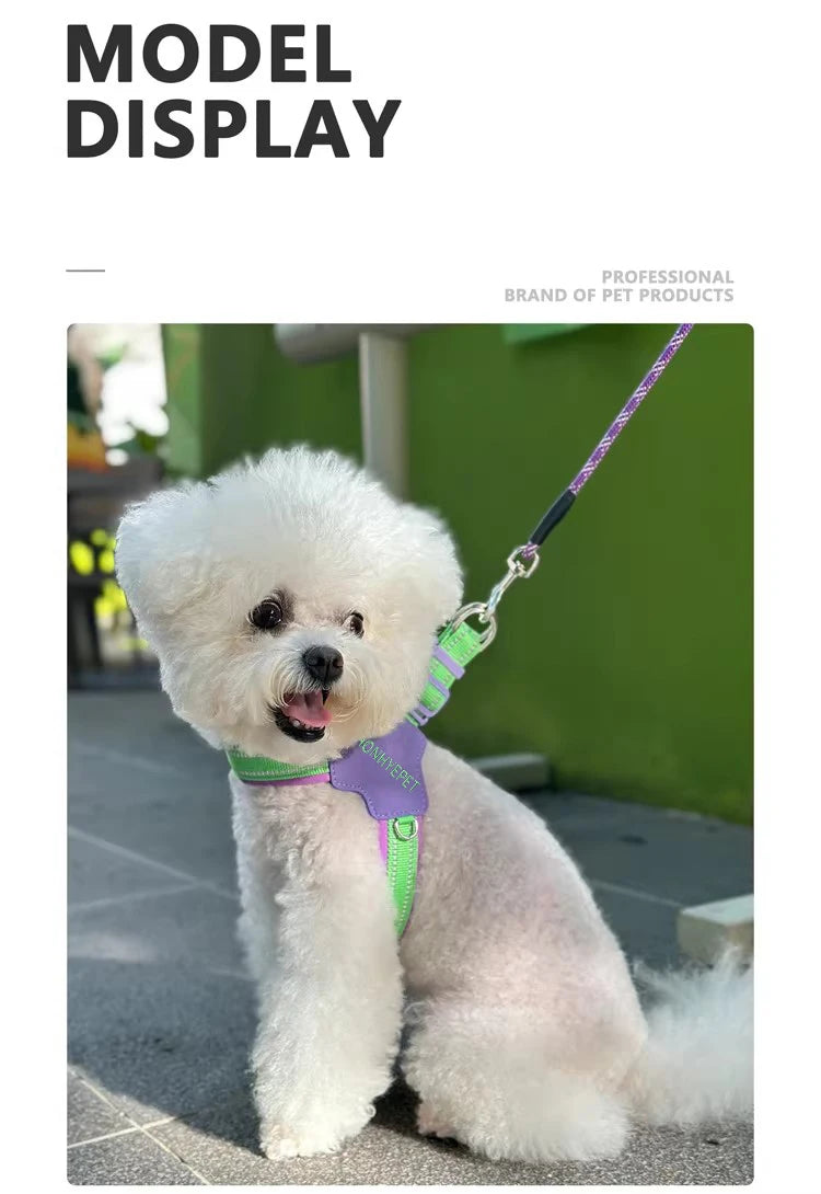 Harnais en Forme de Y Anti-Traction pour Chien - Toutes Tailles