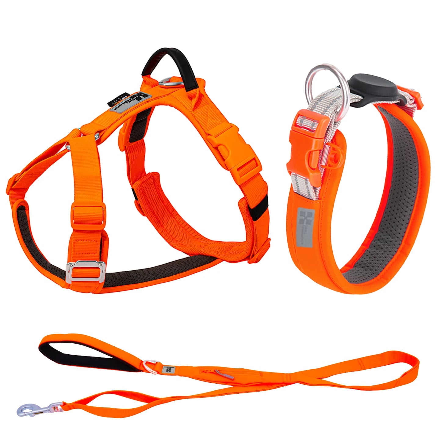Ensemble Harnais et Laisse Anti-Traction pour Grand Chien