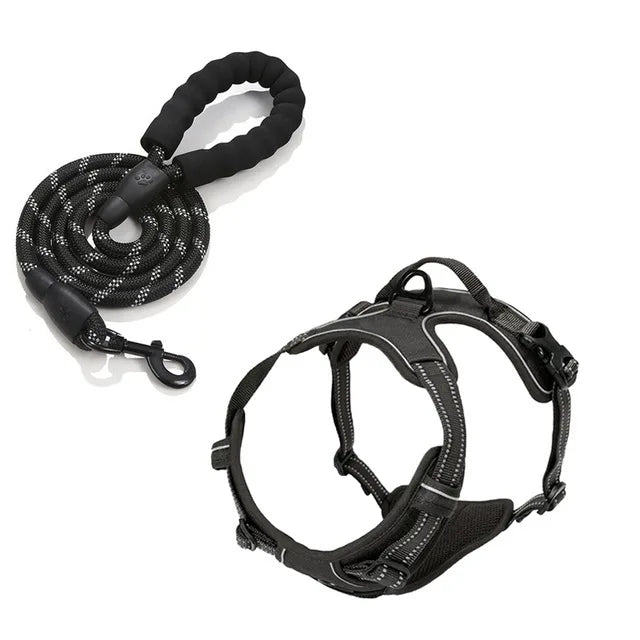 Ensemble Collier, Harnais et Laisse Réfléchissants pour Grand Chien