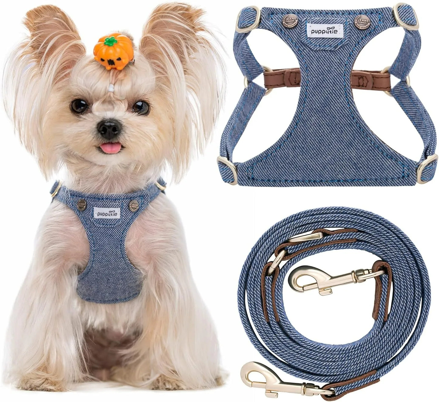 Ensemble Harnais et Laisse Doux Rembourré pour Chiot