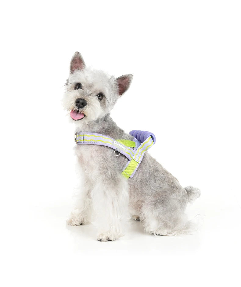 Harnais à Enfiler Rembourré pour Petit Chien - Poignée Douce