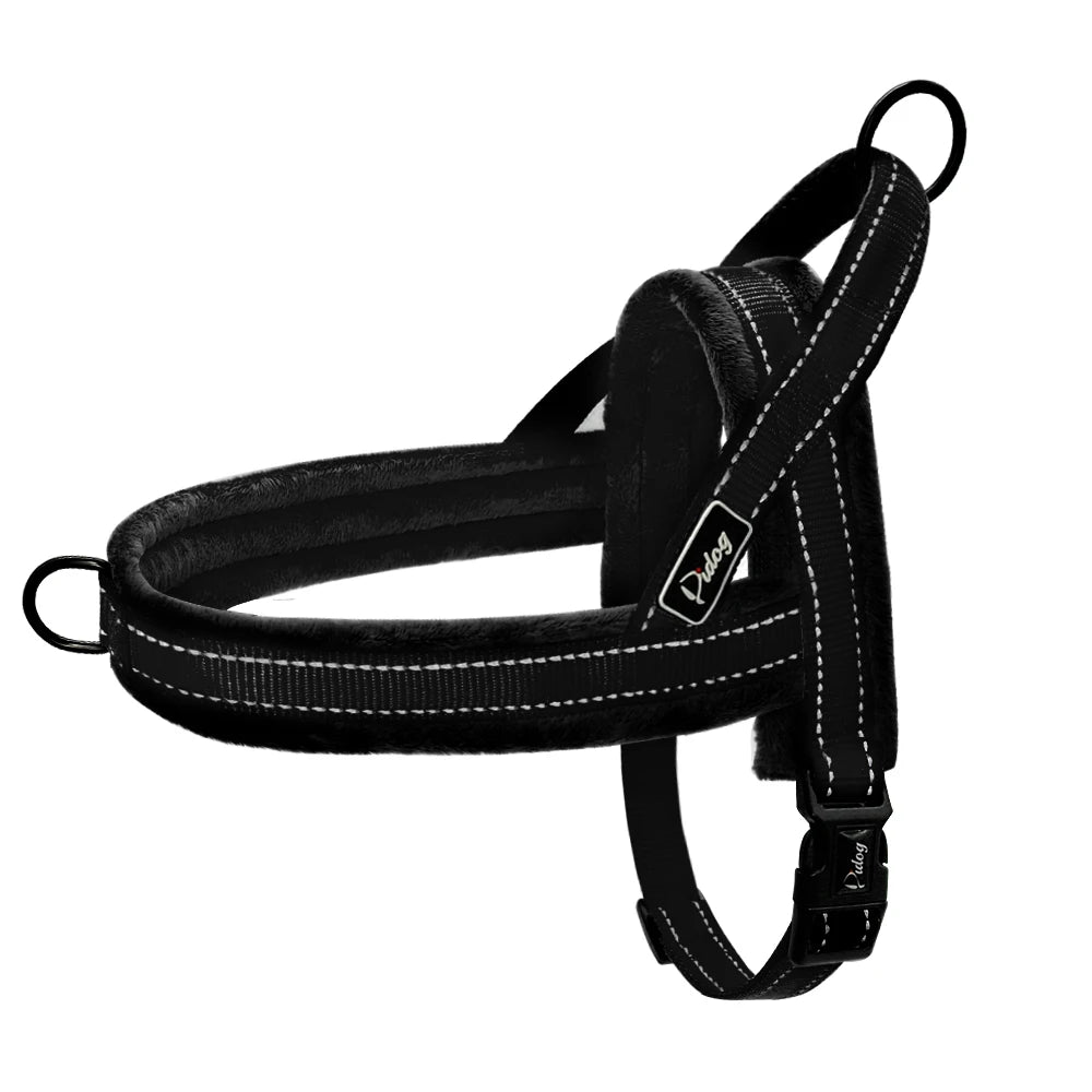 Sangle Nylon Rembourrée pour Chien - Idéal Pitbull et Bulldog