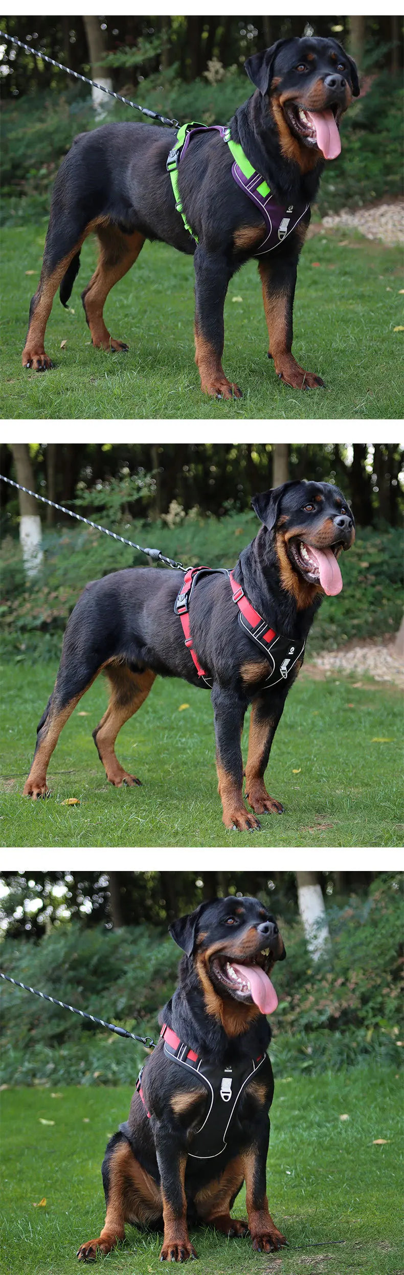 Harnais de Selle Réfléchissant pour Chien - Sans Traction, Toutes Tailles