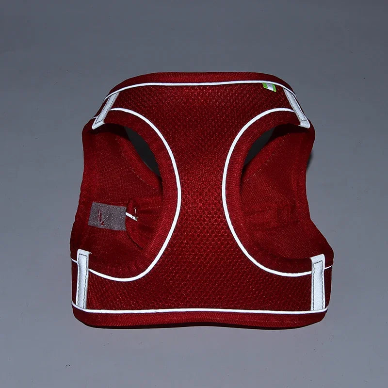 Ensemble Accessoires Réglables pour Chiots et Chats - Bouledogue, Chihuahua