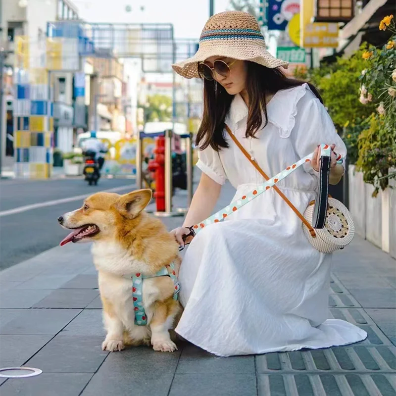 Ensemble Trois Pièces Abstrait pour Chien - Harnais, Laisse, Collier
