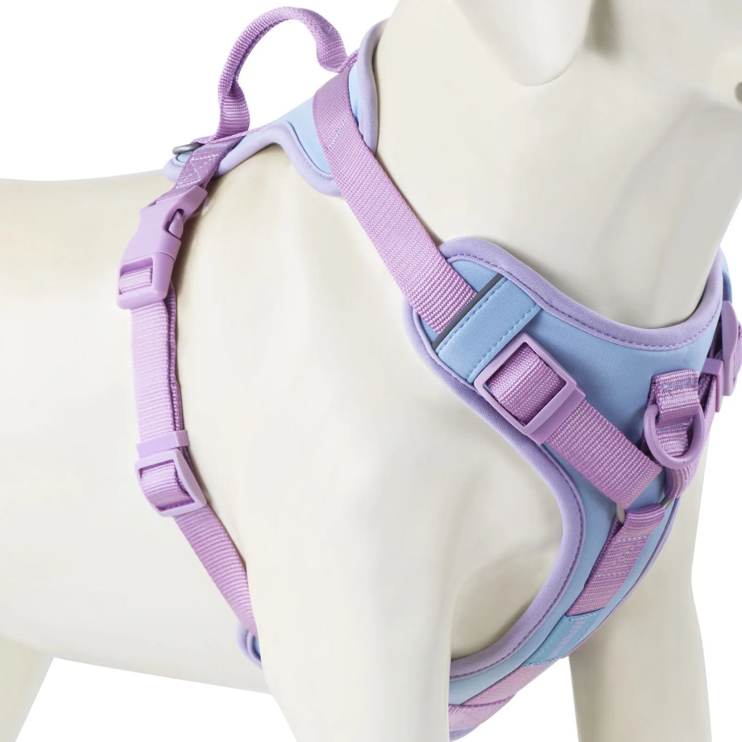 Harnais de Luxe Moyen Anti-Traction pour Chien - Personnalisé