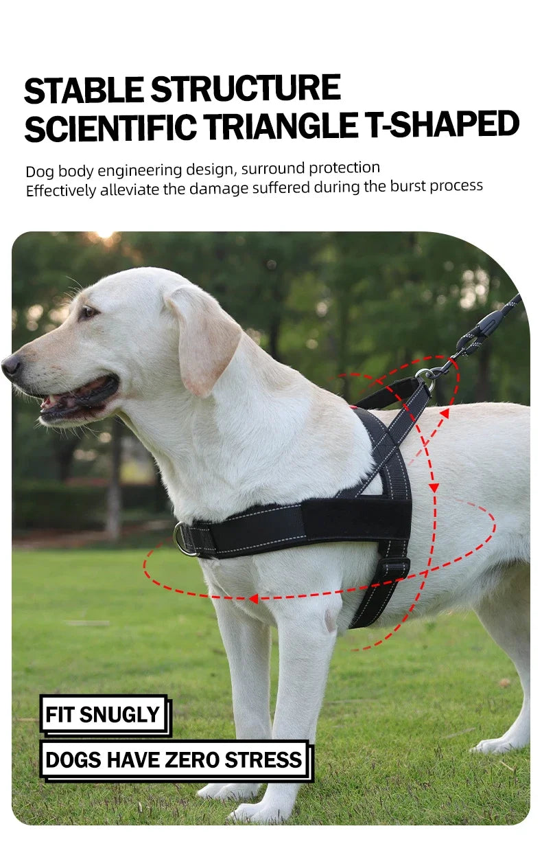 Harnais Gilet de Selle Léger et Réfléchissant pour Chien