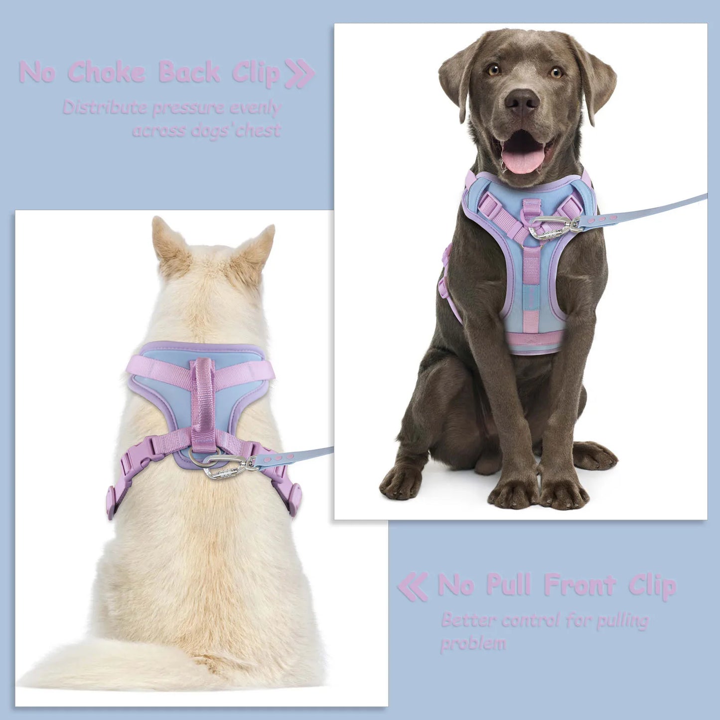 Harnais de Luxe Moyen Anti-Traction pour Chien - Personnalisé