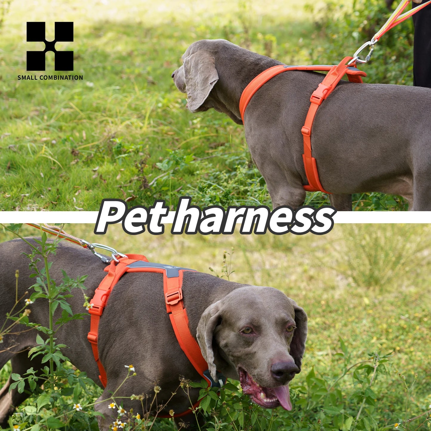 Harnais PEQUE Sans Traction - Petit, Moyen et Grand Chien