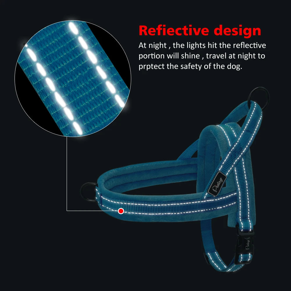 Sangle Nylon Rembourrée pour Chien - Idéal Pitbull et Bulldog