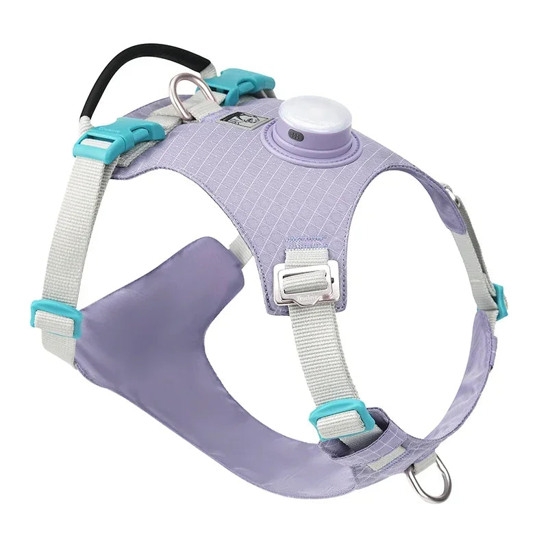 Harnais LED avec Support de Suivi - 19 Modes, Chien et Chat