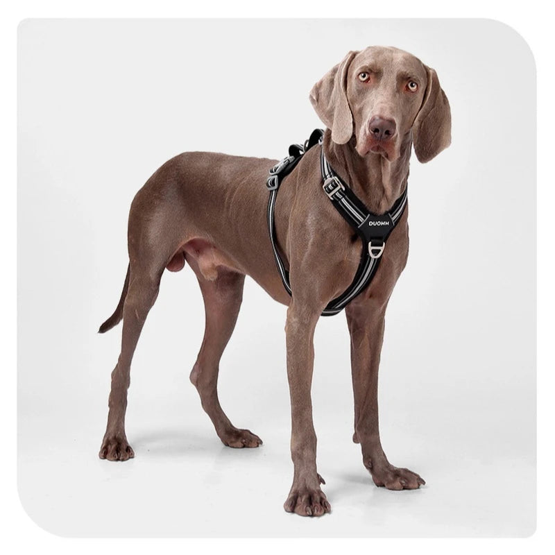 Harnais Anti-Traction Souple et Résistant pour Chien
