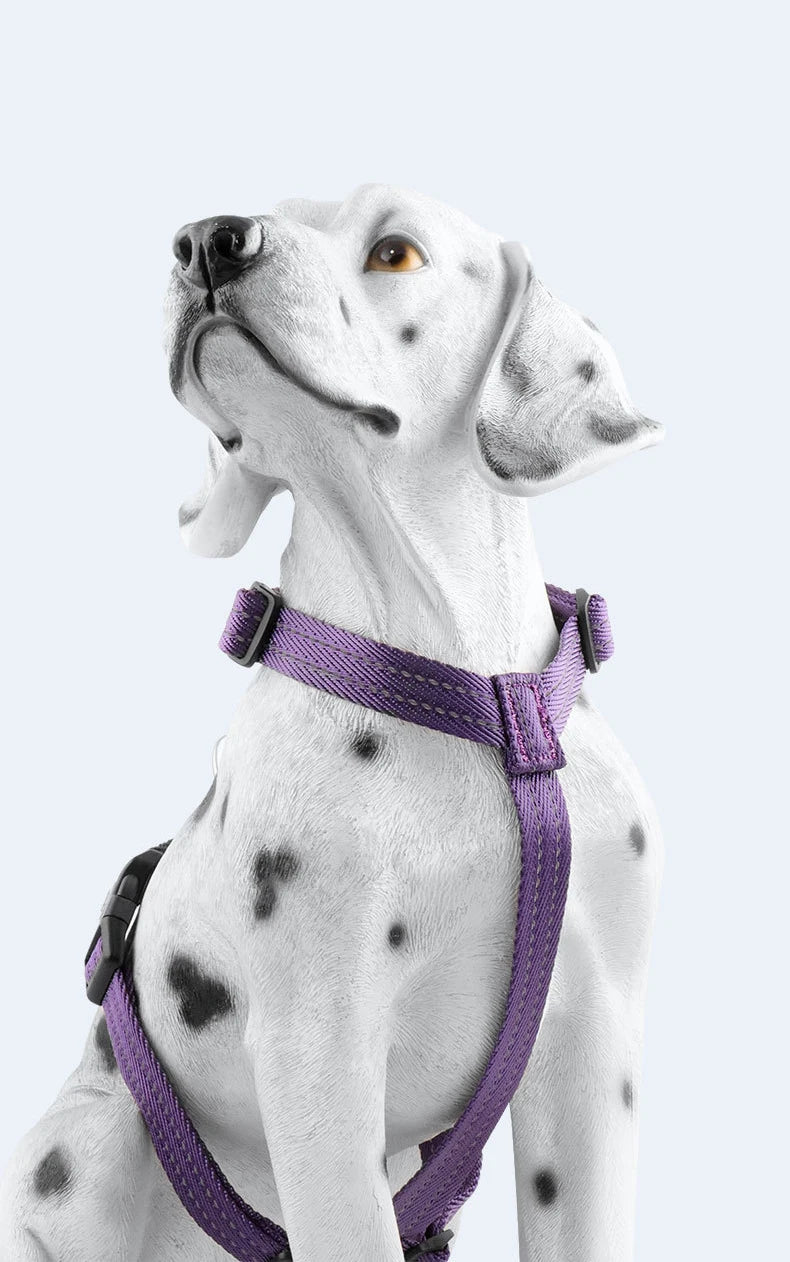 Harnais Anti-Évasion Type H pour Chien - Lavable, Réglable