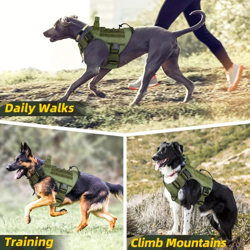 Harnais Tactique Robuste pour Chien - Recherche et Sauvetage