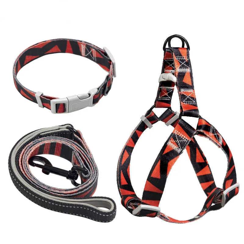 Ensemble Harnais, Laisse et Collier Trois Pièces pour Chien