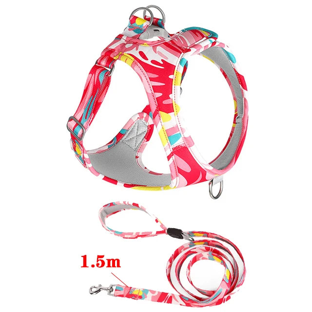 Laisse et Collier Réglables en Maille Polyester - Chien et Chat