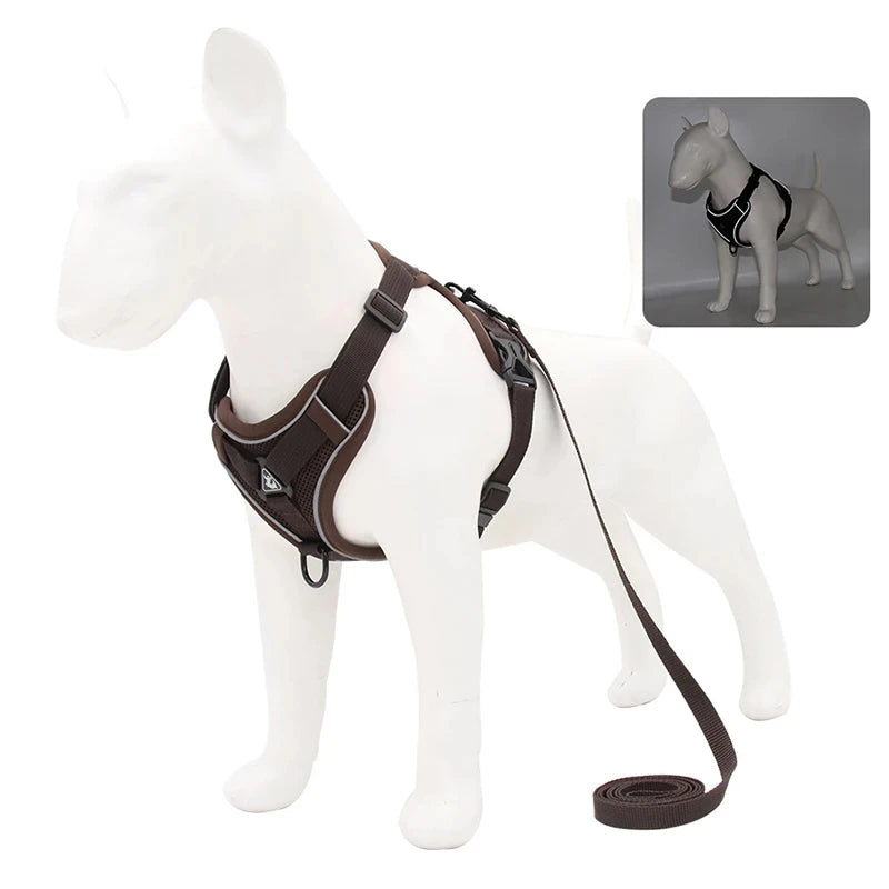 Ensemble Sans Côtes en Maille pour Petit Chien et Chat - Bouledogue Français